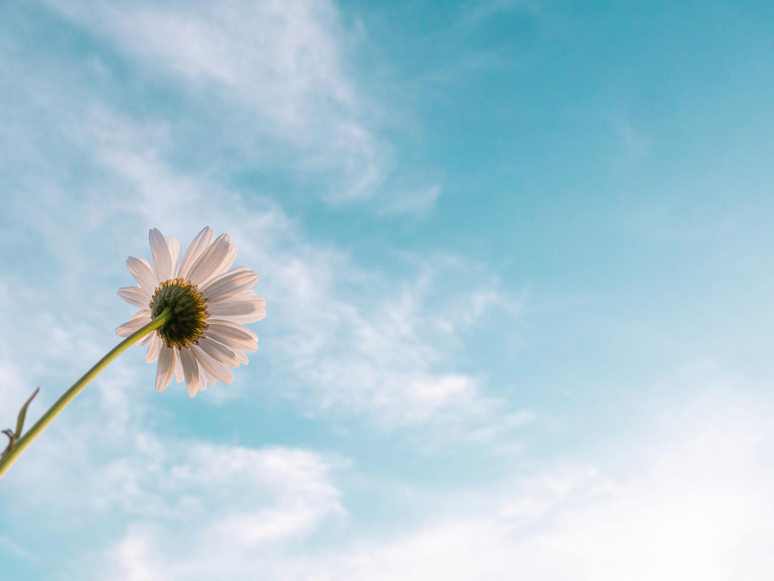 Addiction and Sin: Recovery and Redemption